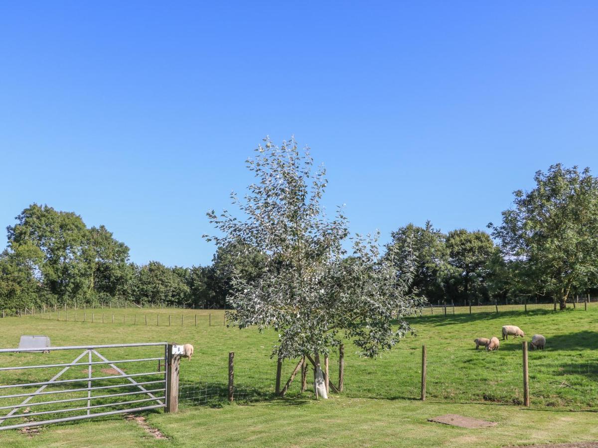 The Milk Shed Villa Plymtree Luaran gambar